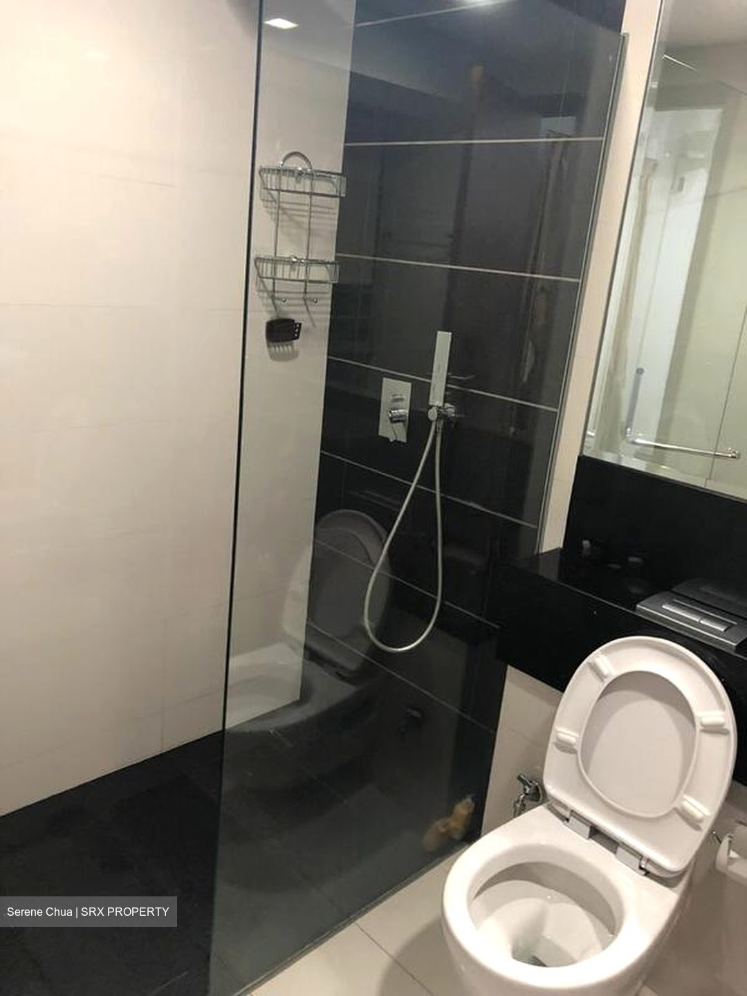Alexis (D3), Apartment #517134931